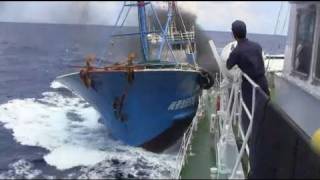 9月7日のできごと(何の日)【尖閣諸島】中国漁船が海保巡視船に衝突